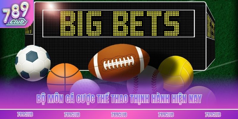 Bộ môn cá cược thể thao thịnh hành hiện nay