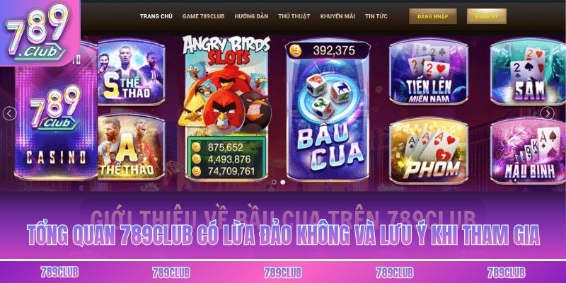 Tổng quan 789club có lừa đảo không và lưu ý khi tham gia